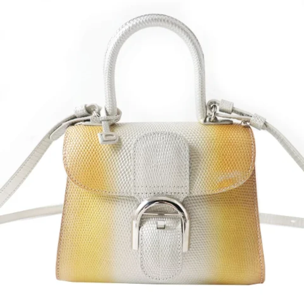 Pre-owned > Pre-owned Bags > Pre-owned Handbags - - Delvaux Pre-owned - Modalova