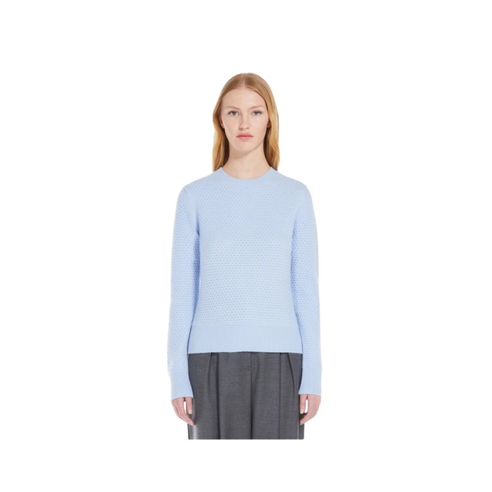 Max Mara Stijlvolle Gebreide Trui Blue Dames