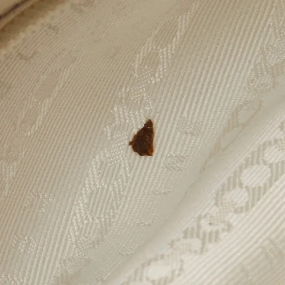 Celine Vintage Pre-owned Canvas celine-bags Purple Dames