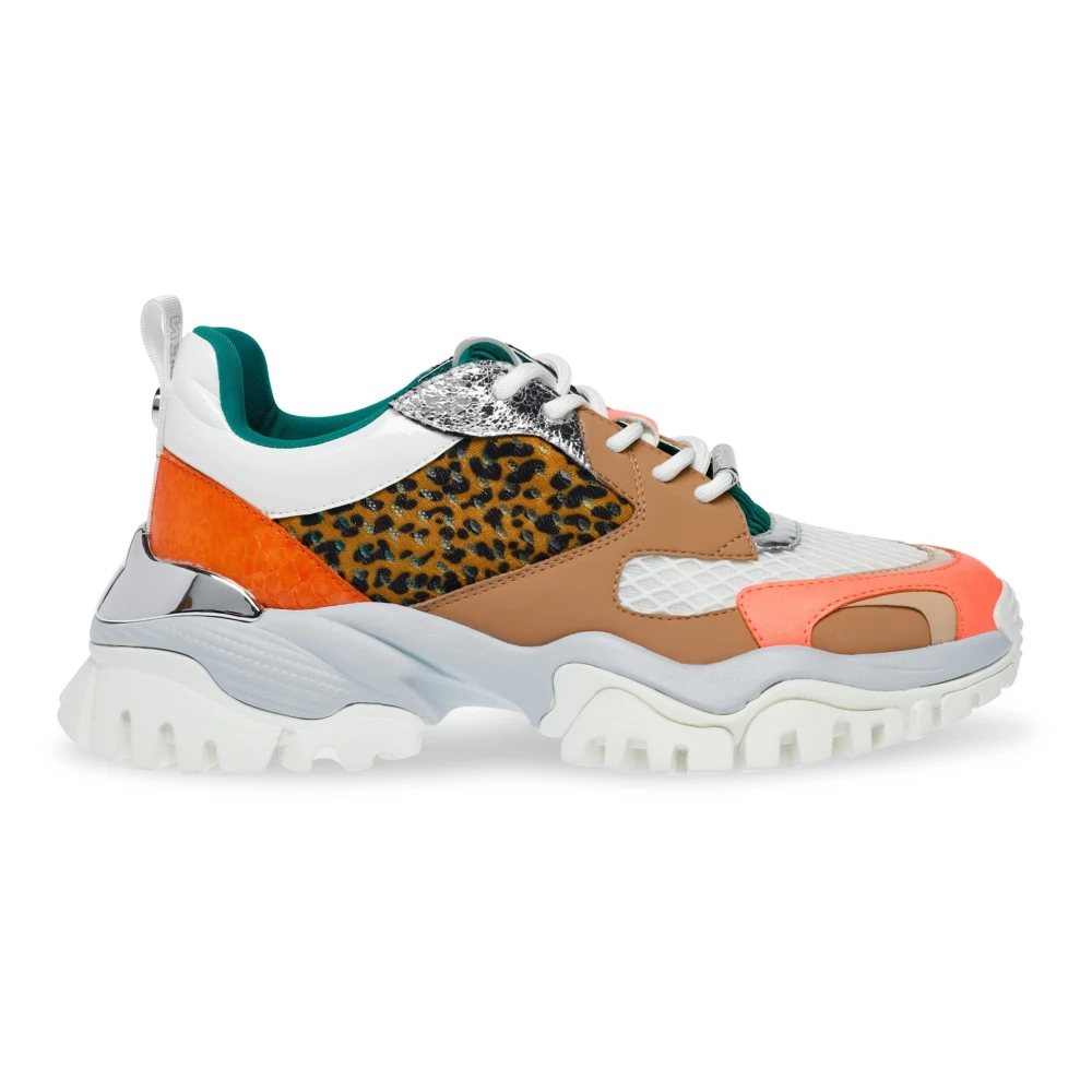 Steve Madden Sneakers Dames Schoenen Veelkleurig Multicolor
