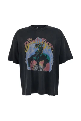 Beach Boys Endless Summer T-Shirt