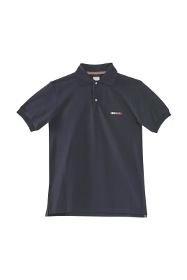 classic-multistripe-embroidered-polo-shirt
