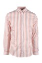 gris-camicia