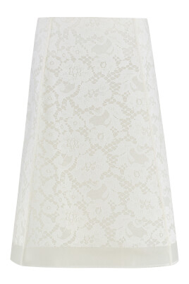 elegant-lace-skirt-with-coordinated-slip