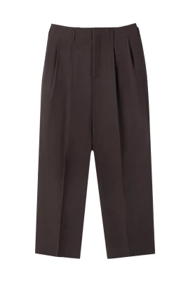 Linen Blend Pleated Pants