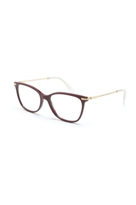 sk2010-1008-optical-frame