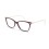 sk2010-1008-optical-frame