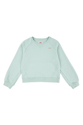 girls-batwing-sweatshirt-in-green