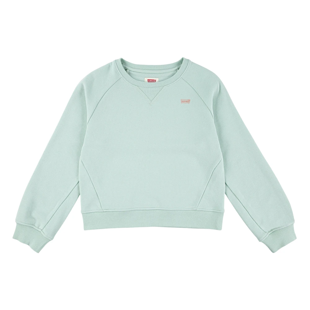 Levi's Girls Green Kids Sweatshirts, 12 Y, Batwing Sweatshirt