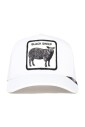 animal-farm-black-sheep-cap