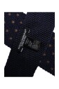 cravate-en-soie-a-pois-avec-logo