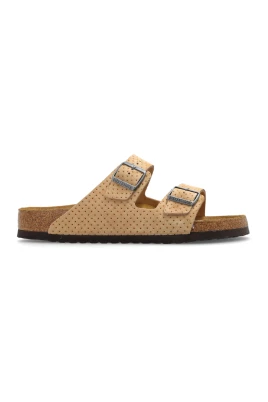 Arizona BS Slides