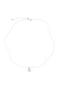 collier-aspen