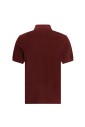 polo-a-logo-et-col-classique
