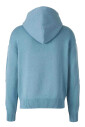 sweat-a-capuche-en-coton-bleu-clair