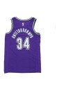 giannis-antetokounmpo-swingman-jersey