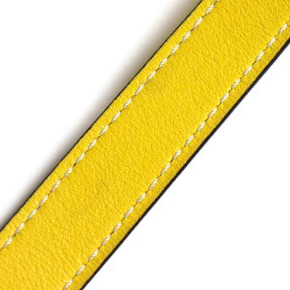 Loewe Pre-owned Canvas handbags Yellow Dames