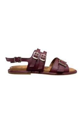 X2569 BERTA