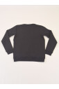 tonal-eagle-1-4-zip-sweatshirt