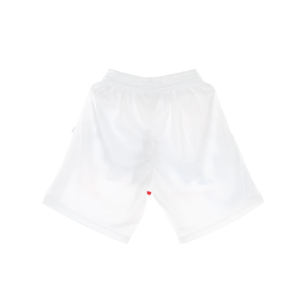 Mitchell & Ness NBA Basketball Shorts Hardwood Classics Multicolor Heren