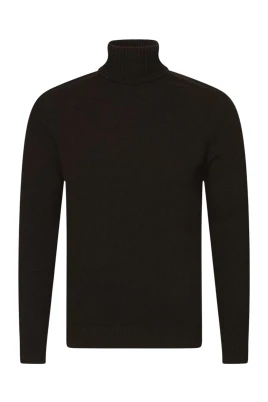 Salim Regular Fit Rollneck
