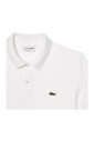 white-t-shirts-and-polos-ph4012-model
