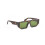 vancouver-sunglasses-in-havana-green