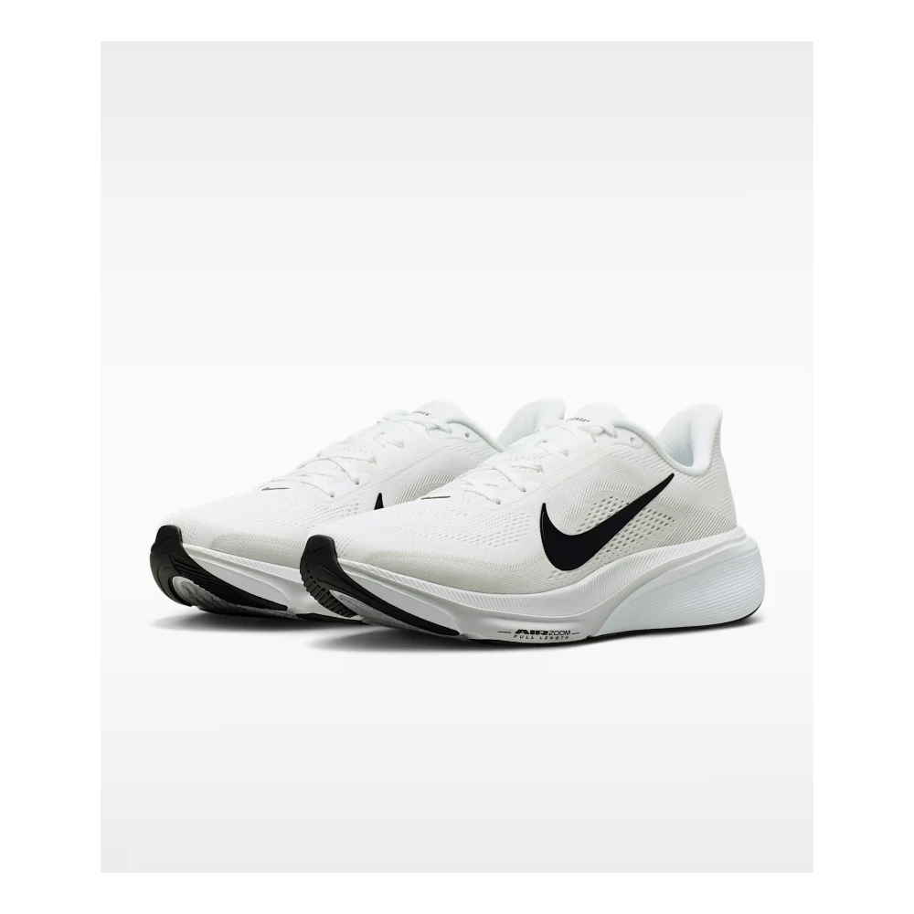 Nike Pegasus 42
