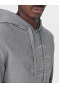 pegasus-logo-hoodie