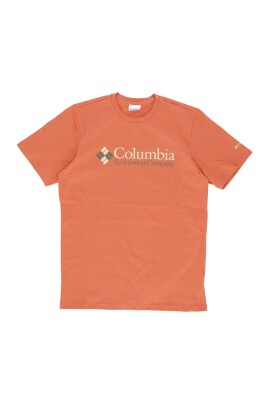 desert-valley-graphic-tee-menand-39-s-t-shirt