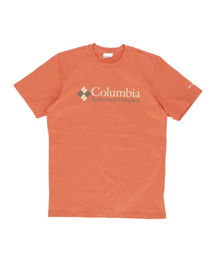 desert-valley-graphic-tee-menand-39-s-t-shirt