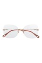 ch0136o-002-optical-frame