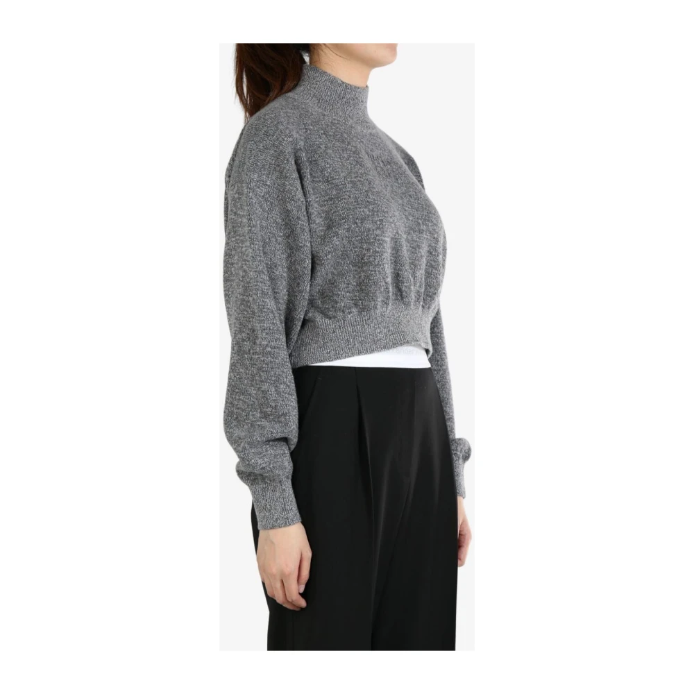 alexander wang Grijze Turtle Neck Pullover Sweater Gray Dames