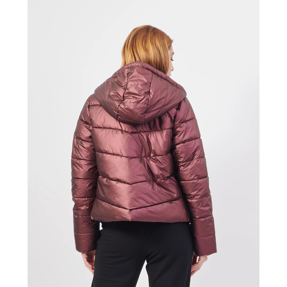 YES ZEE Korte Gewatteerde Hoodiejas Pruim Red Dames