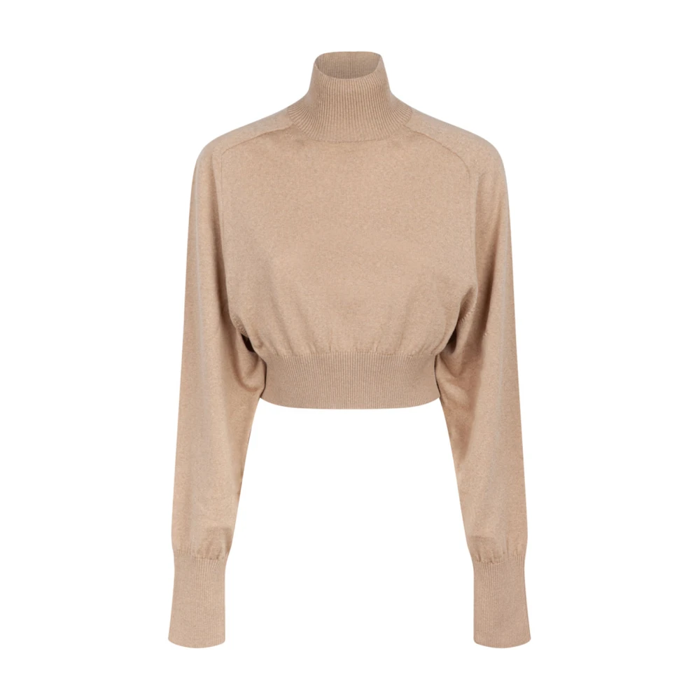 Max Mara Bruine Coltrui Sweater Aw24 Brown Dames