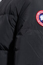 lawrence-puffer