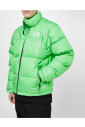 retro-nuptse-down-jacket