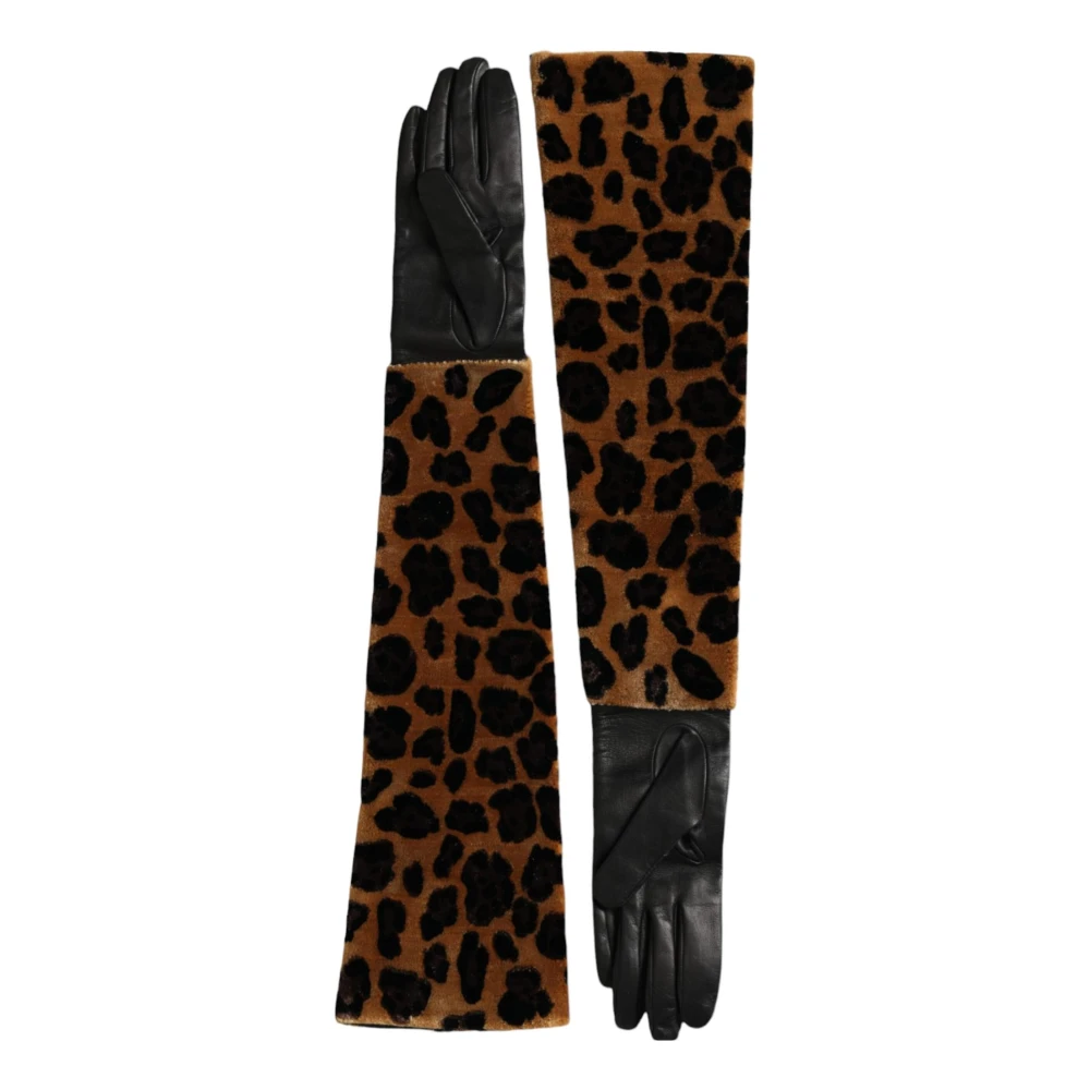 Dolce & Gabbana Luipaardprint Ellebooglengte Handschoenen Multicolor Dames