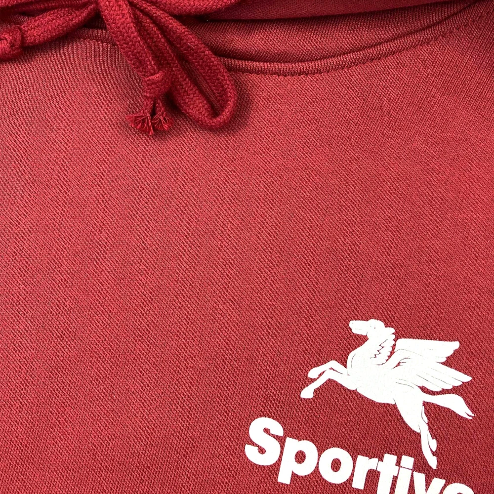 Goodies Sportive Burgundy Streetwear Hoodie Red Heren
