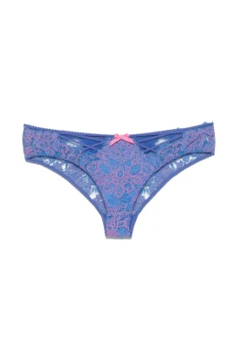 Eviee Brief