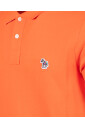 polo-zebre