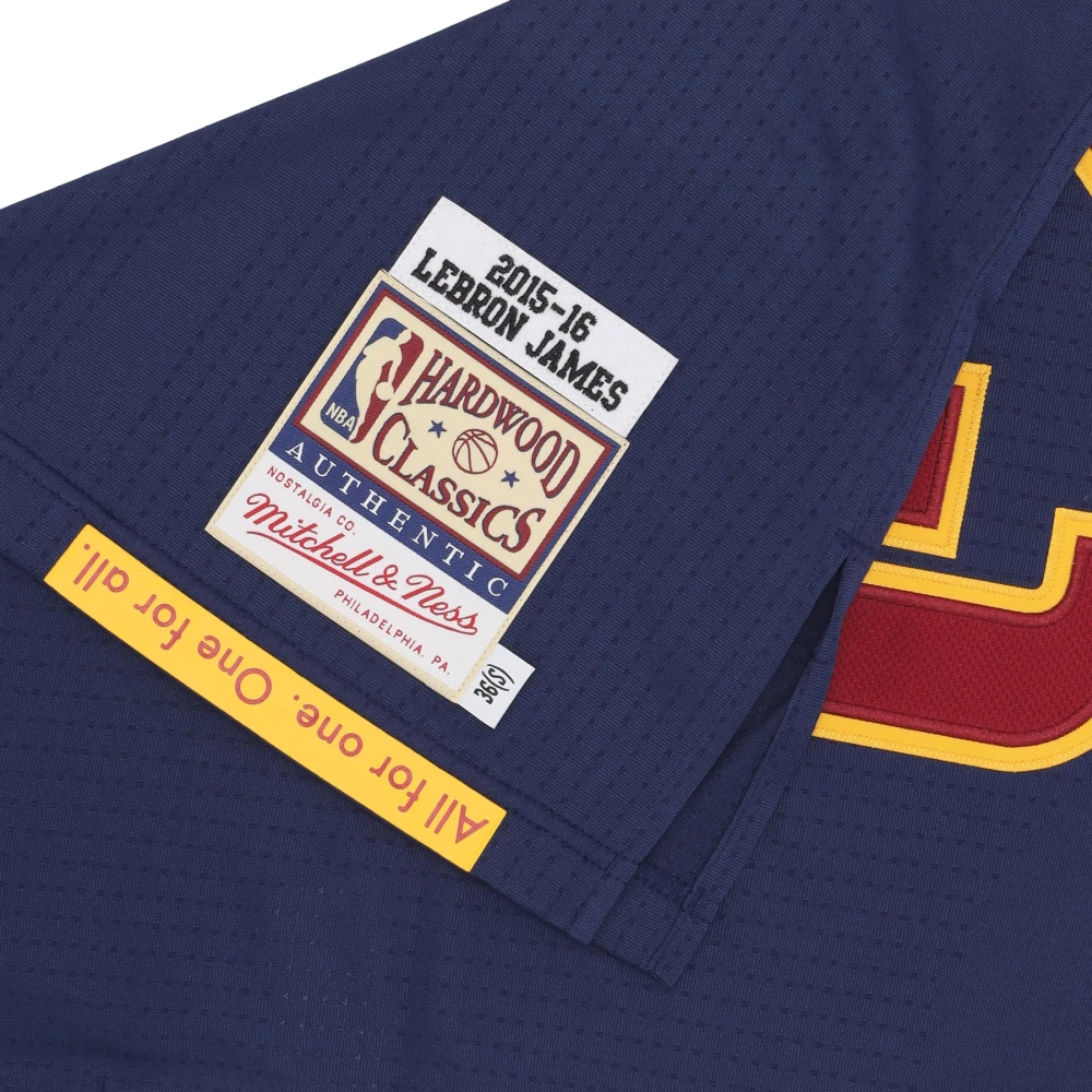 Mitchell & Ness LeBron James Basketball Tank Top Blue Heren