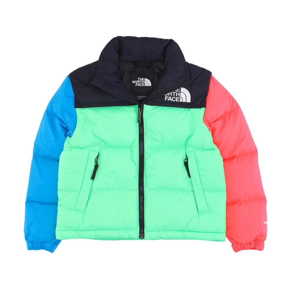 The North Face Retro Nuptse Donsjack Chlorophyll Groen Multicolor Heren