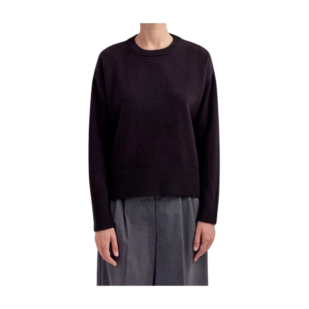 Filippo De Laurentiis Kasjmierwol Trui Ronde Hals Purple Dames