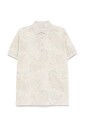 polo-roma-avec-amoebas-vertes