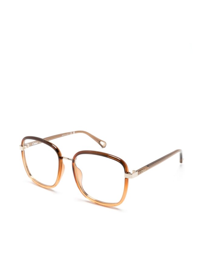 ch0034o-014-optical-frame