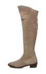 hoge-laarzen-voor-dames-in-taupe