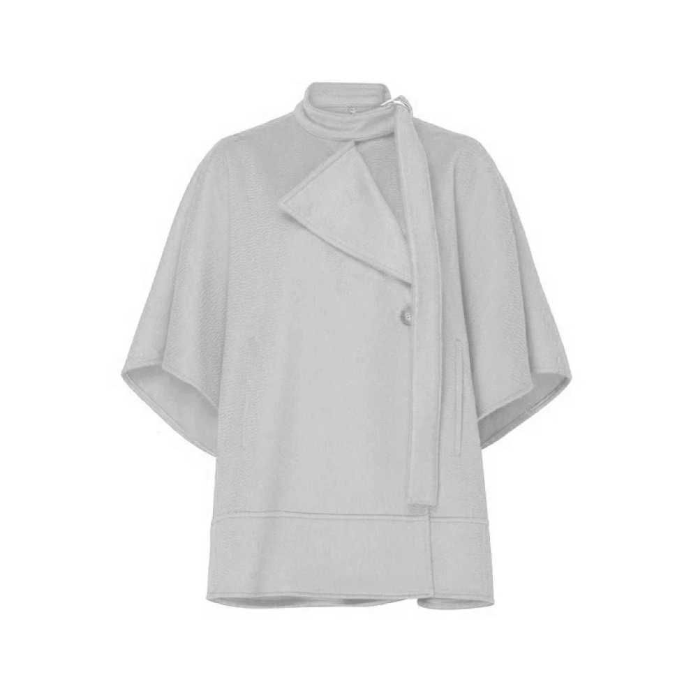 Max Mara Elegante Haven Jurk voor Vrouwen Gray Dames