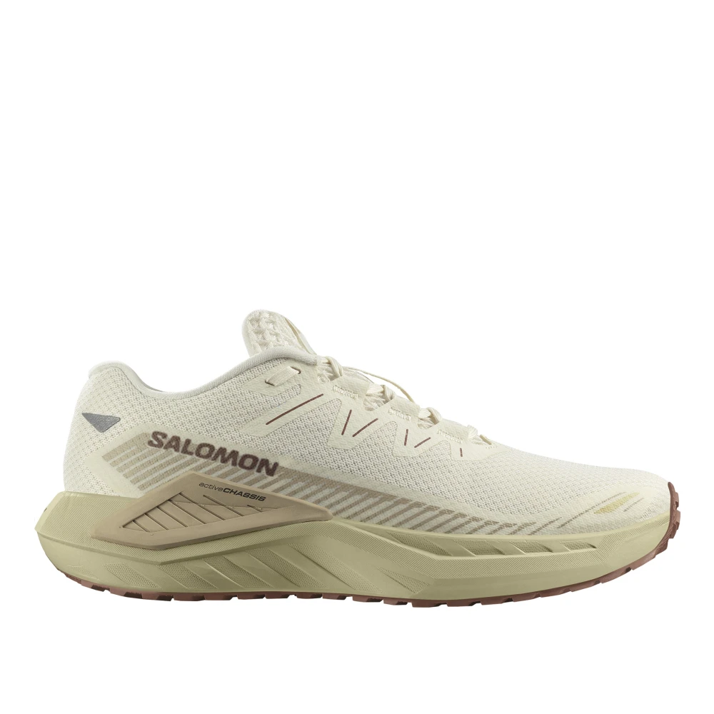 Salomon Defy Gravel Trail Löparskor Beige, Herr