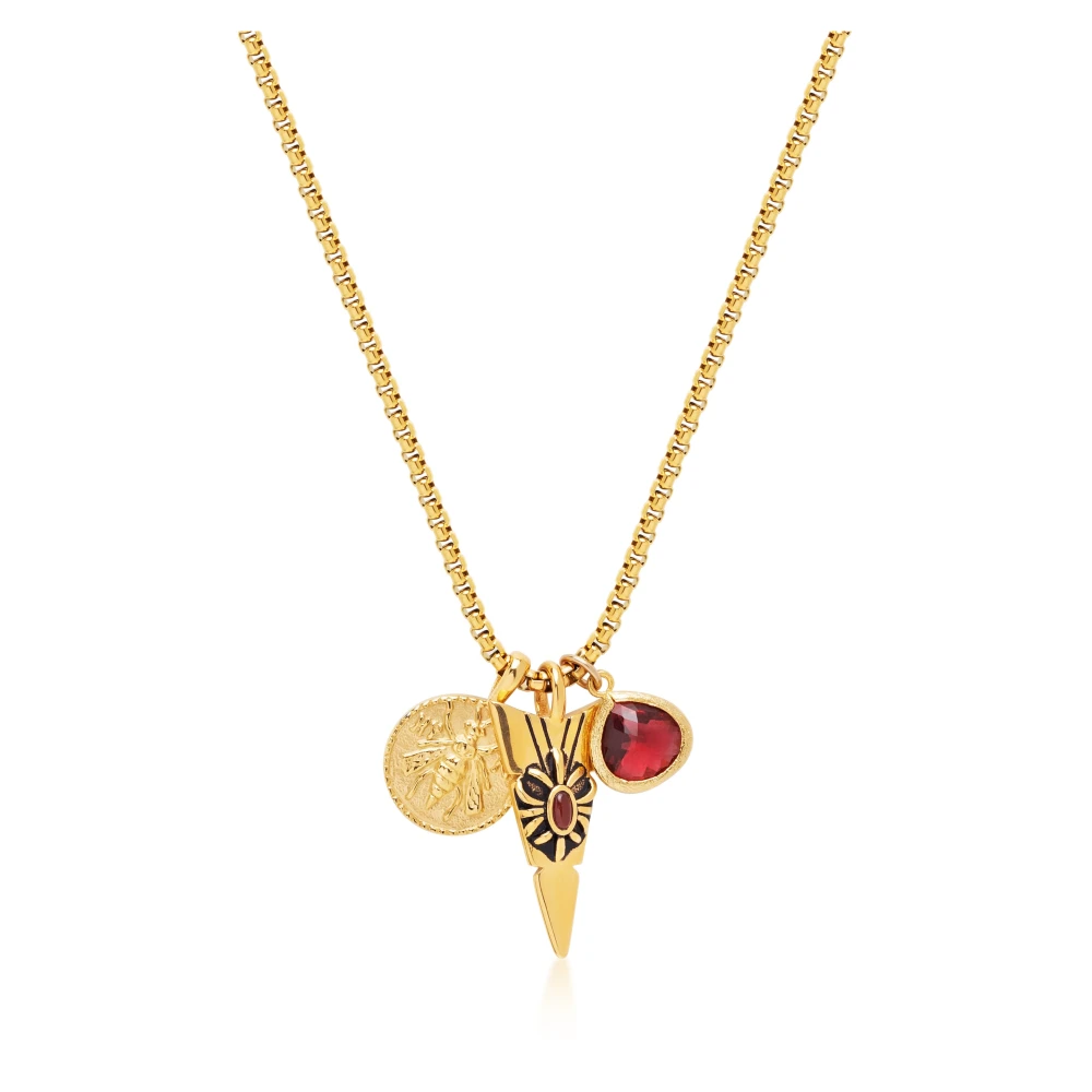 Men`s Golden Talisman Necklace with Arrowhead, Red Ruby CZ Drop and Bee Pendant